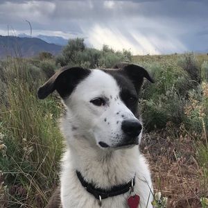 Meet your Posher, Thea